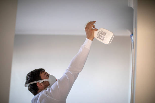 Best Mold Testing and Inspection Services in La Habra, CA